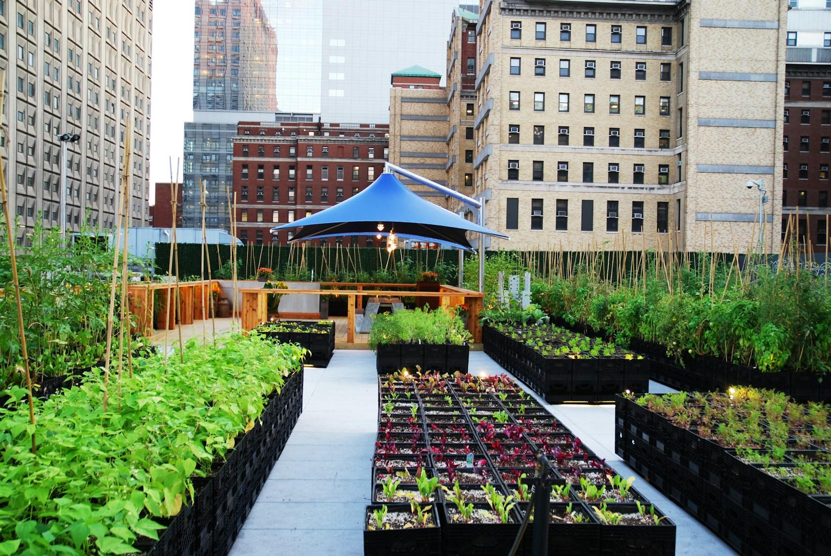 Riverpark Farm - image 5