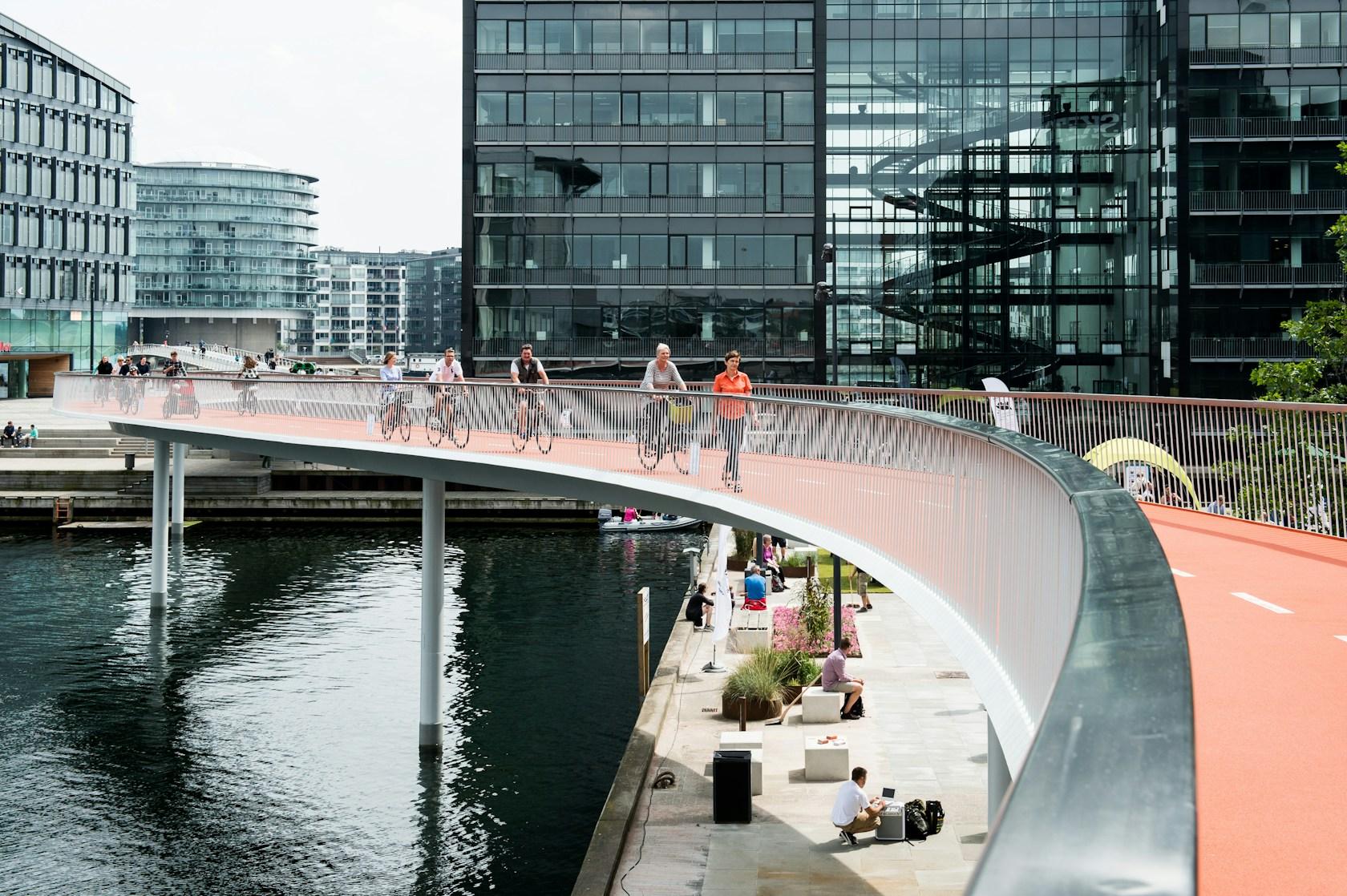 Cykelslangen/The Bicycle Snake - image 3