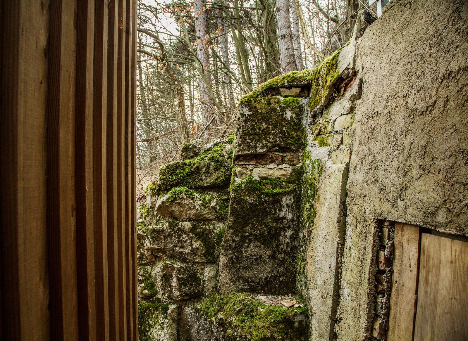 Tom's hut - image 7