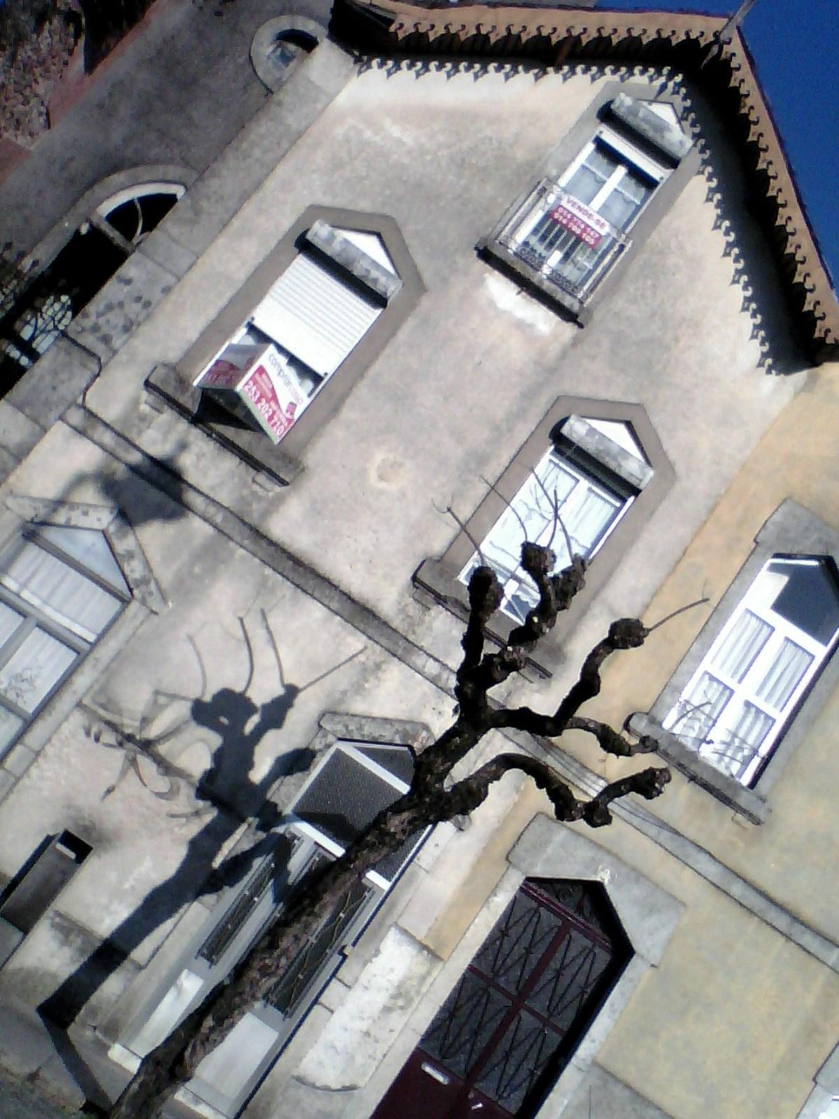 The Three Cusps Chalet - image 28