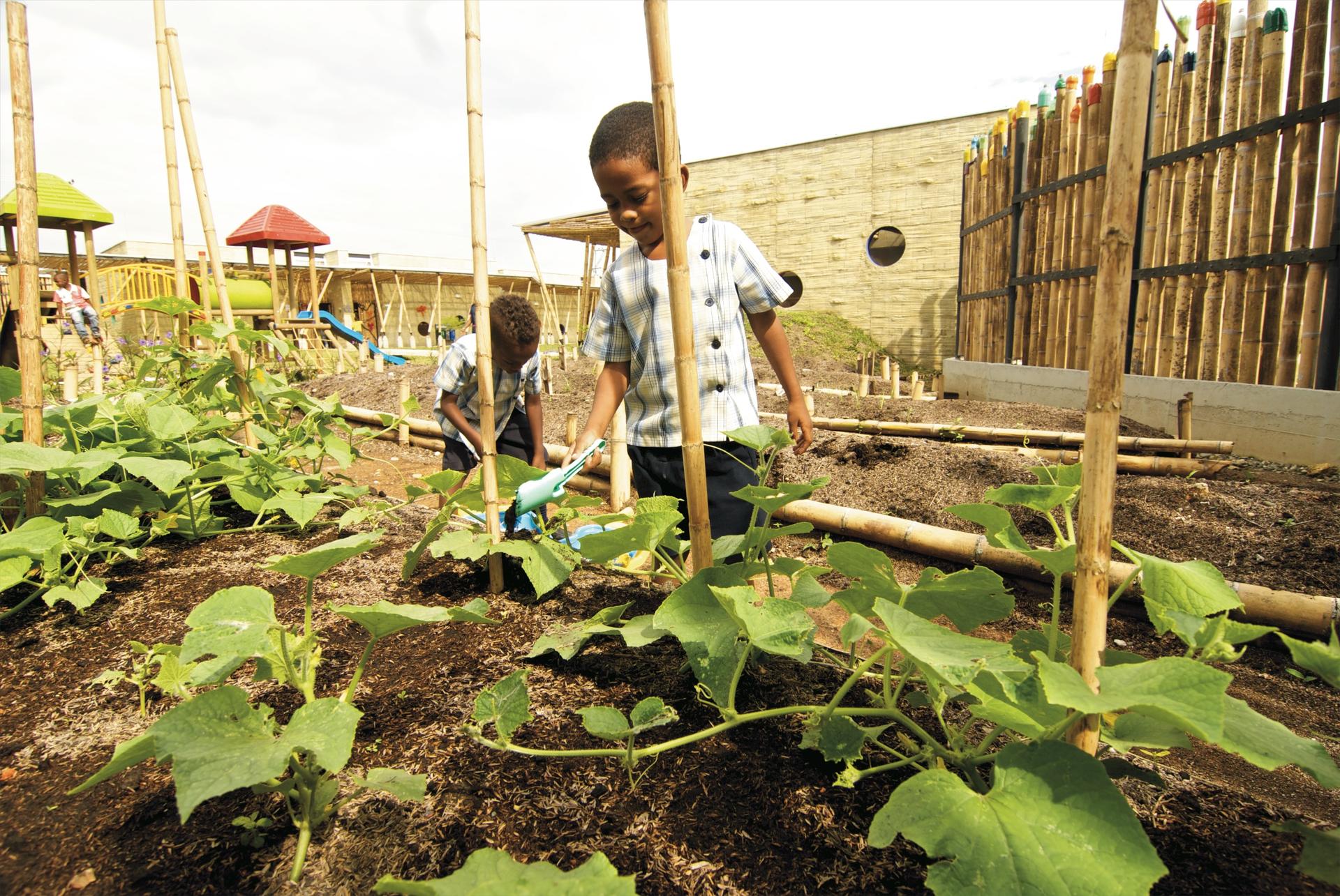 El Guadual Early Childhood Development Center - image 11