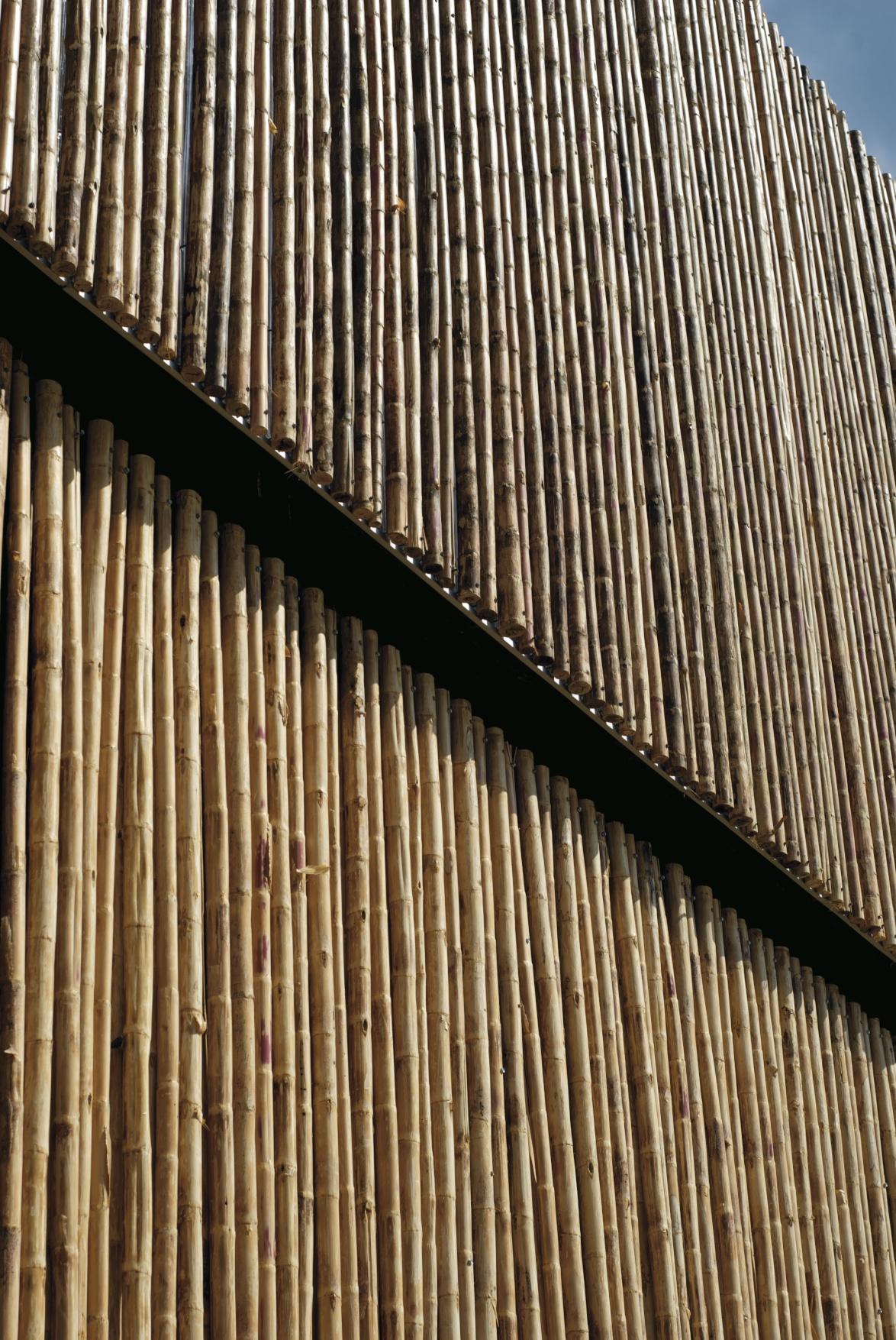 El Guadual Early Childhood Development Center - image 13