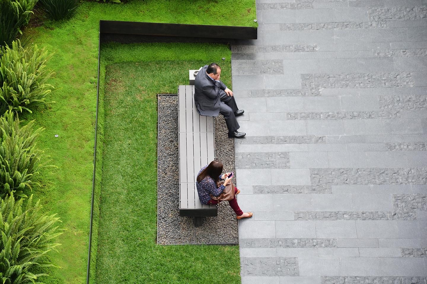 Coyoacán corporate campus - image 9