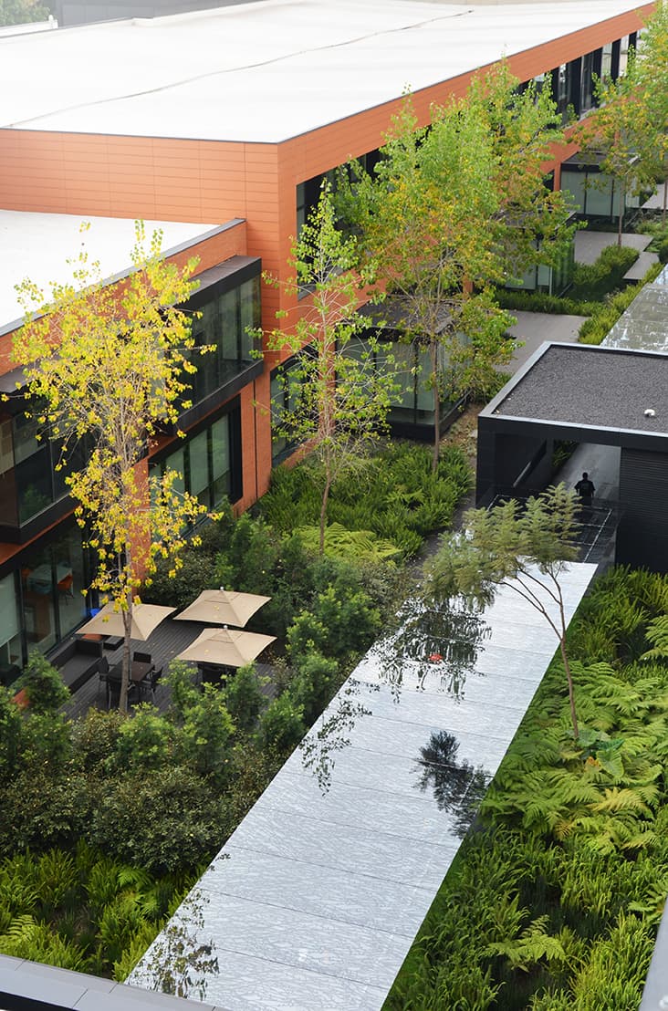 Coyoacán corporate campus - image 4
