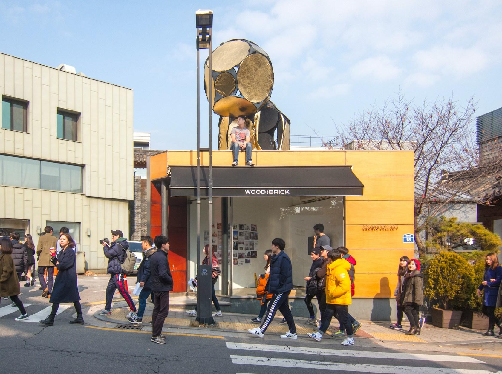 Pop-up Habitat - image 9