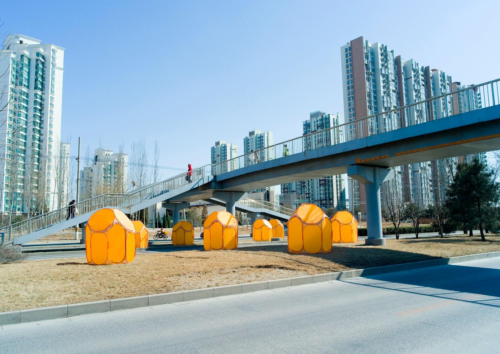 Pop-up Habitat - image 5