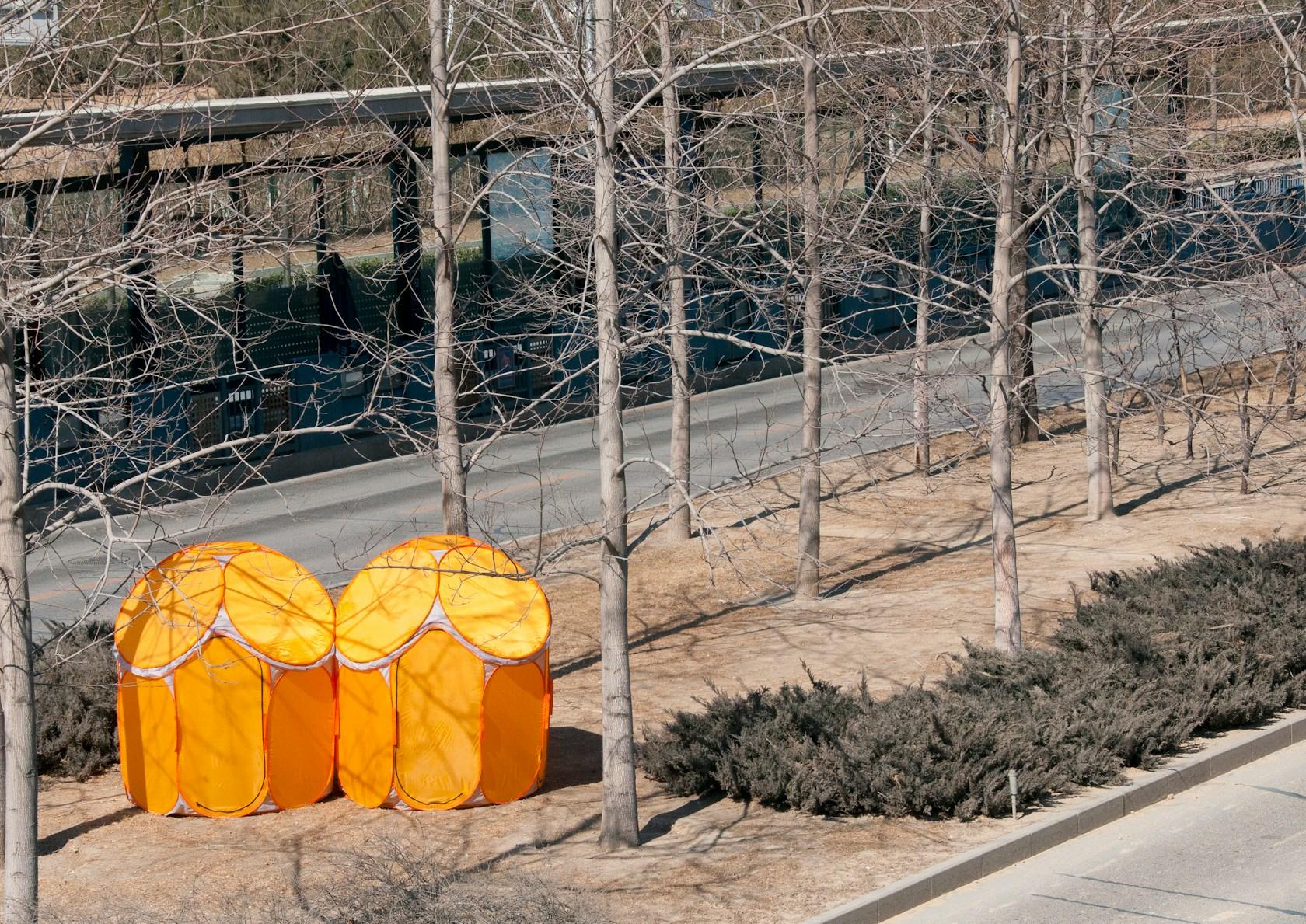 Pop-up Habitat - image 6