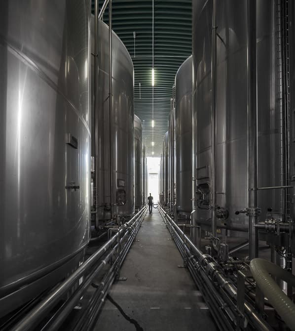 Gran Cruz Cellar - image 15