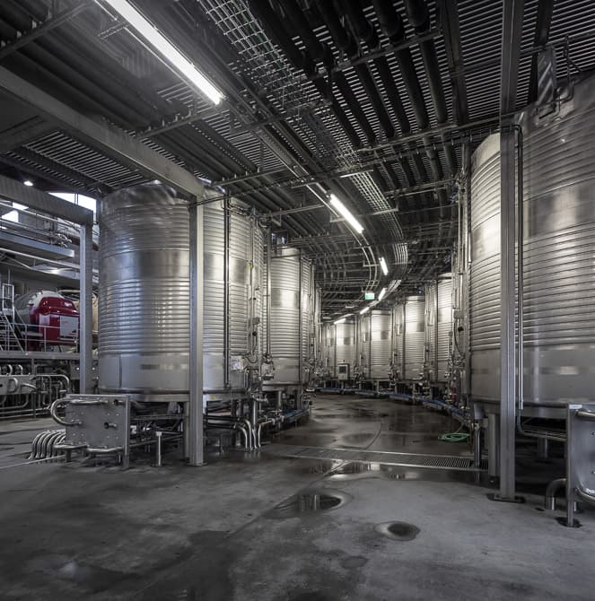 Gran Cruz Cellar - image 13