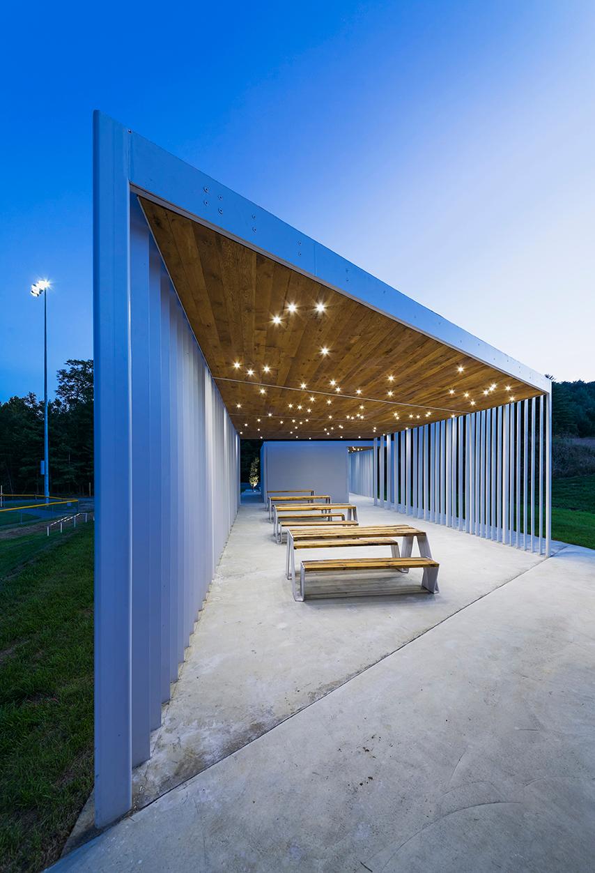 Sharon Fieldhouse - image 12