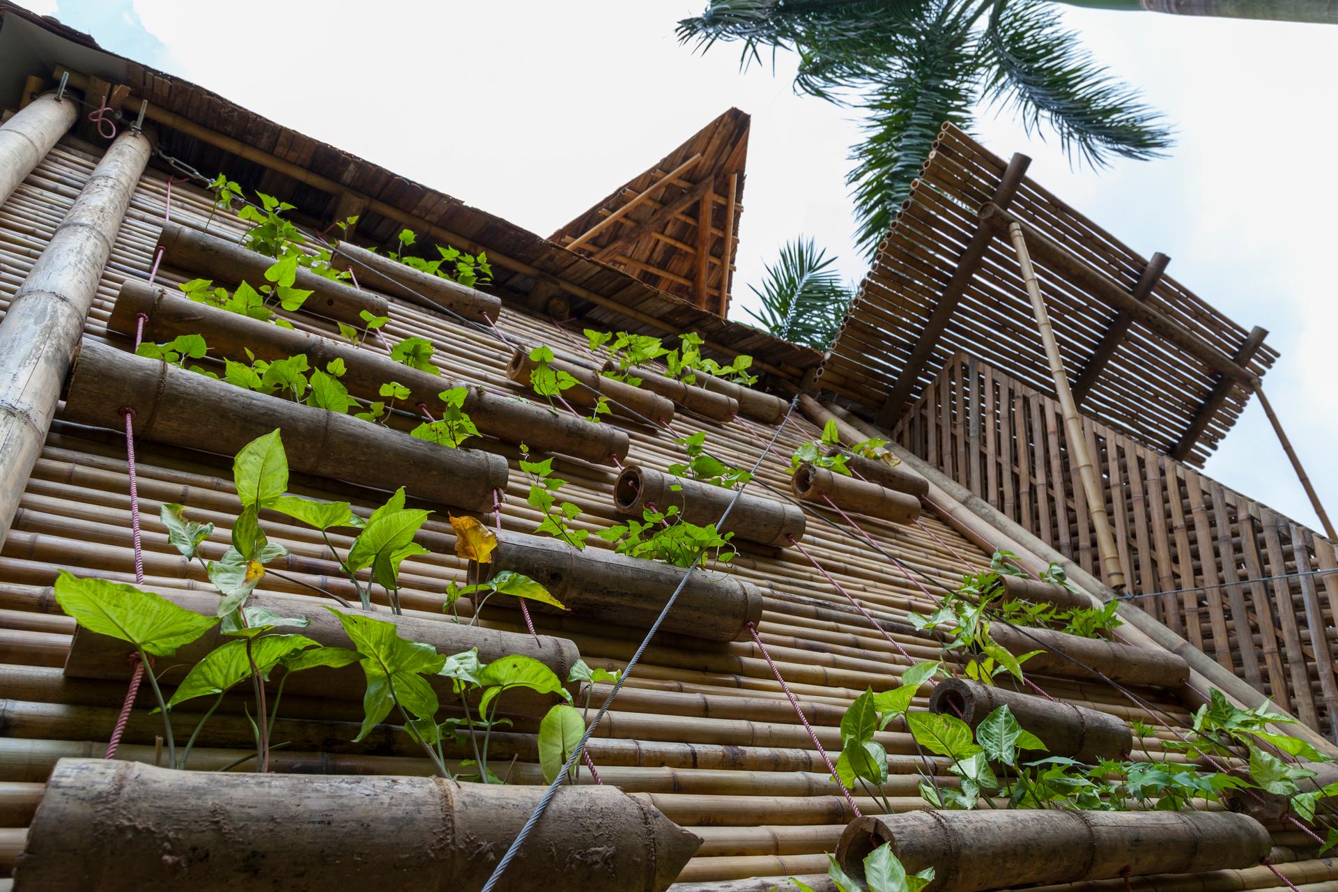 Blooming Bamboo Home - image 6