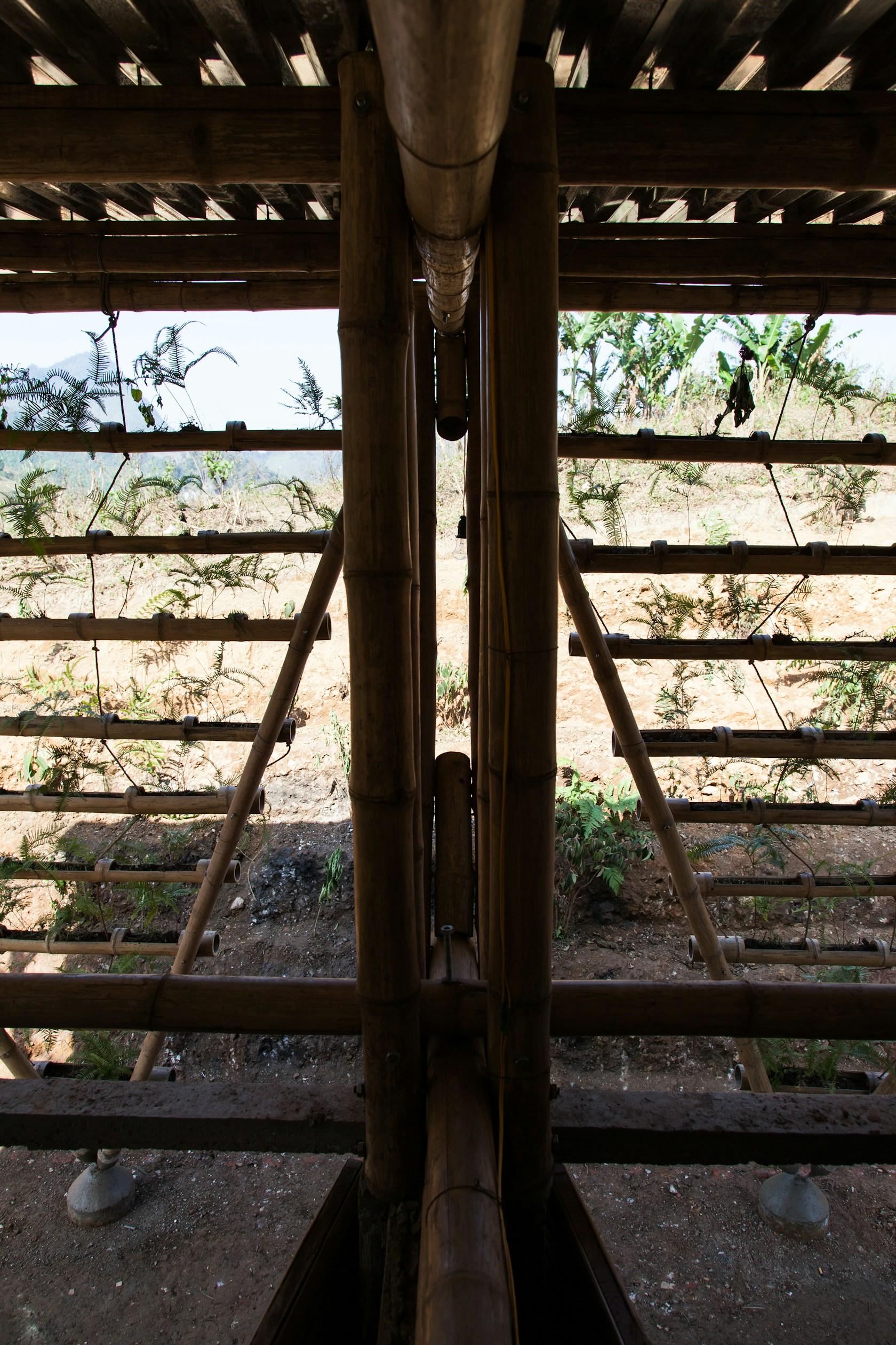 Toigetation - image 36