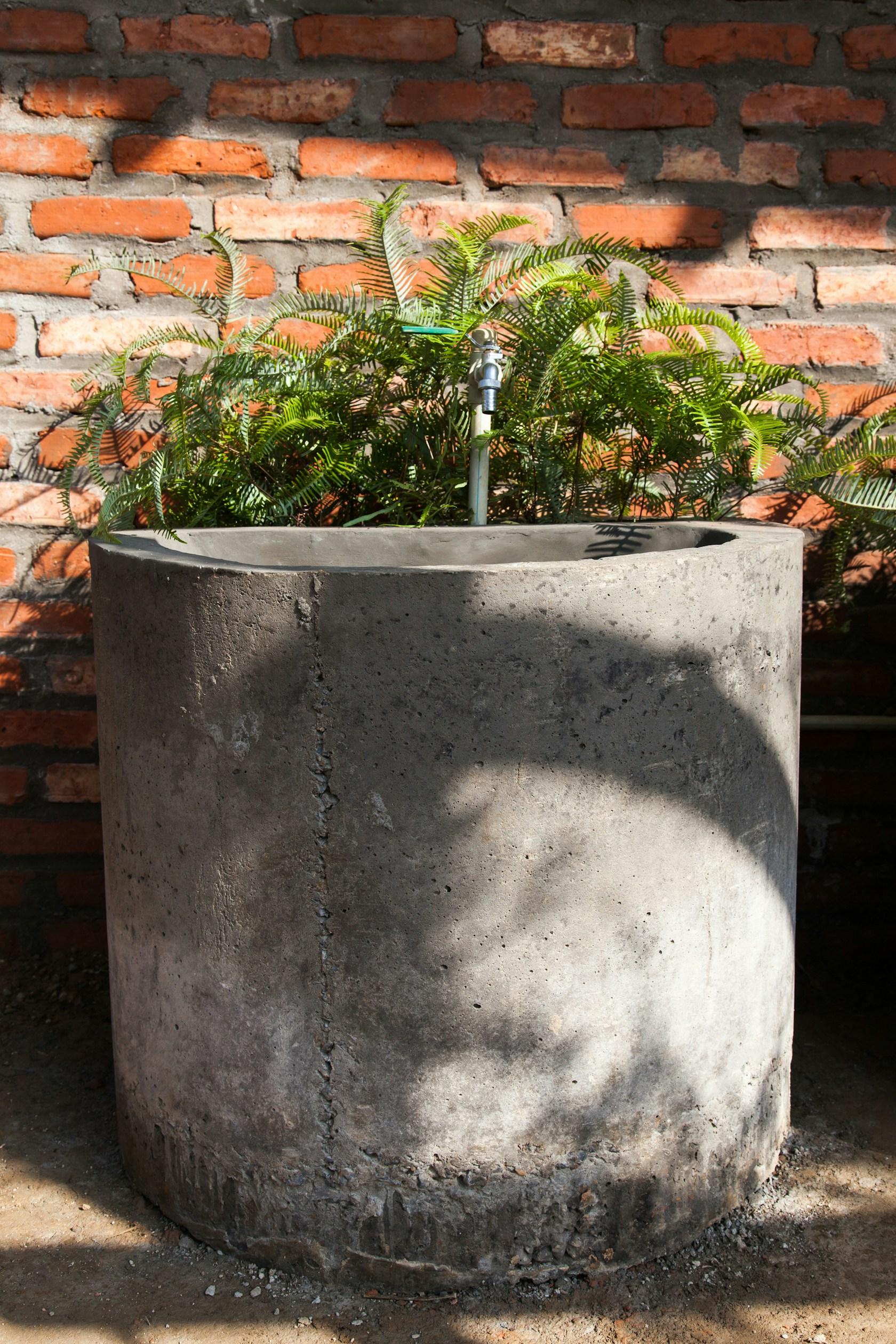 Toigetation - image 15