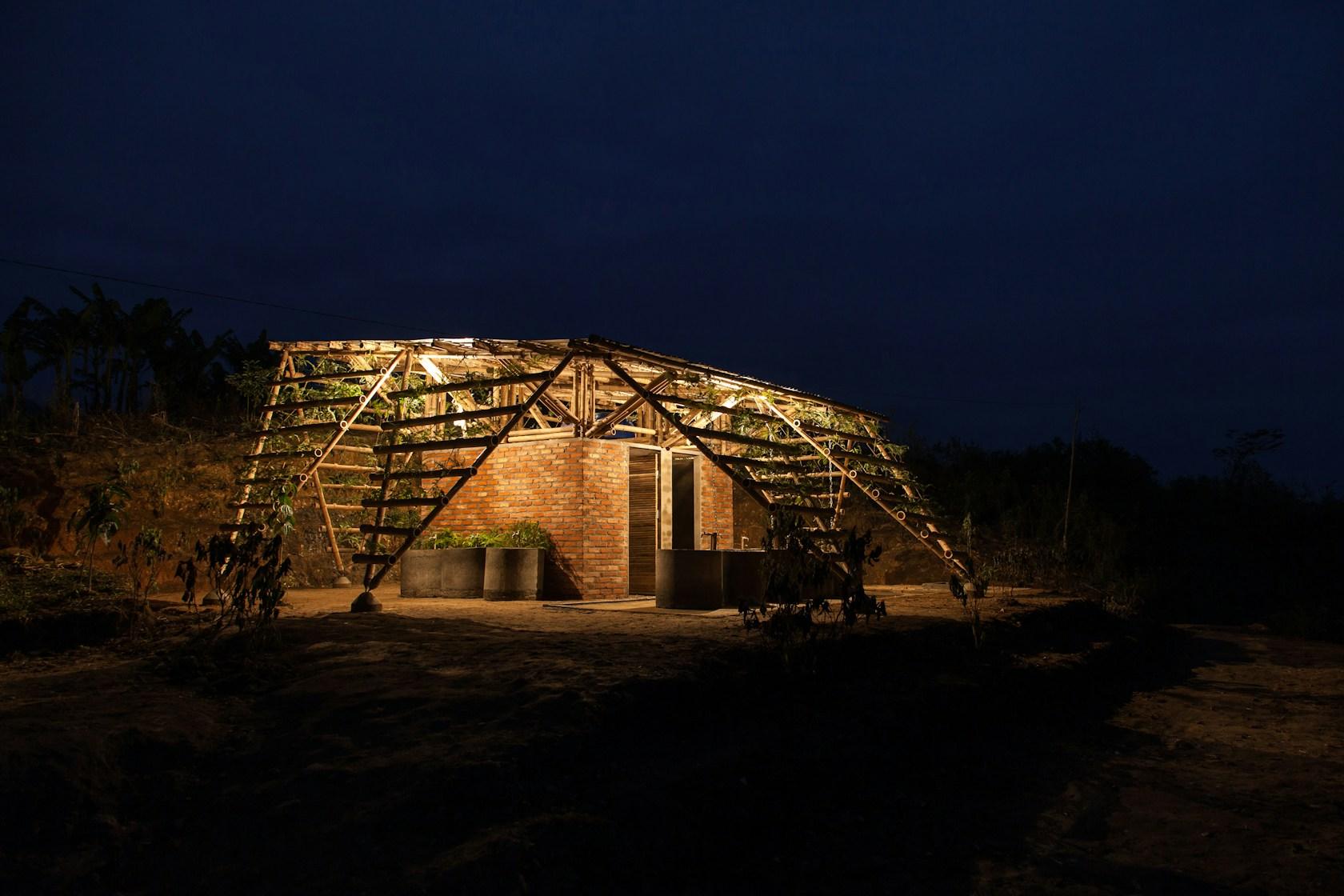 Toigetation - image 12