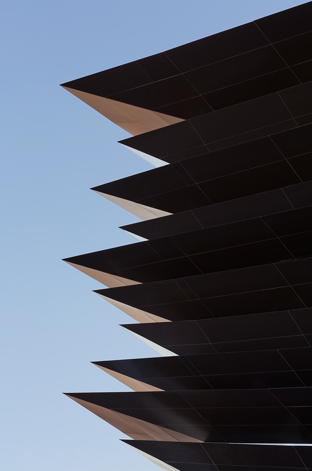 Palacio de Hierro Antea Façade - image 6