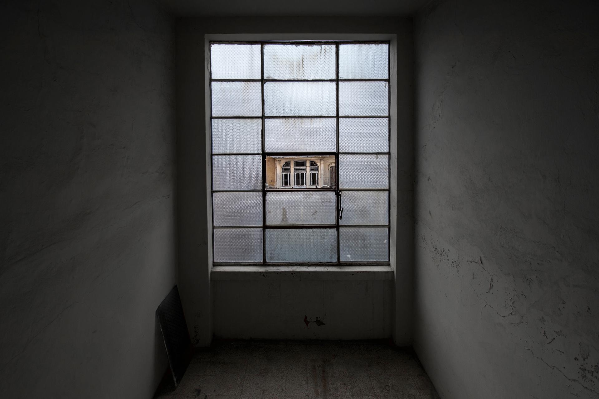 Life Despite Here - image 7