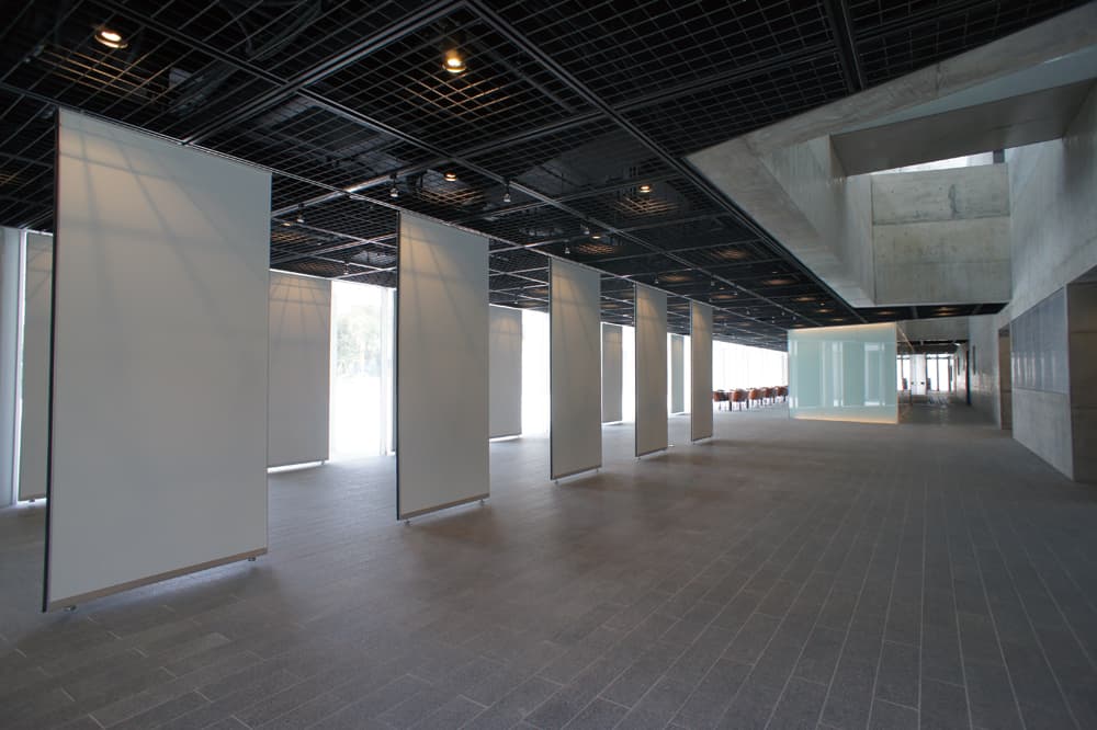 Hachijo Government Building and Hall/ Ojar - image 3