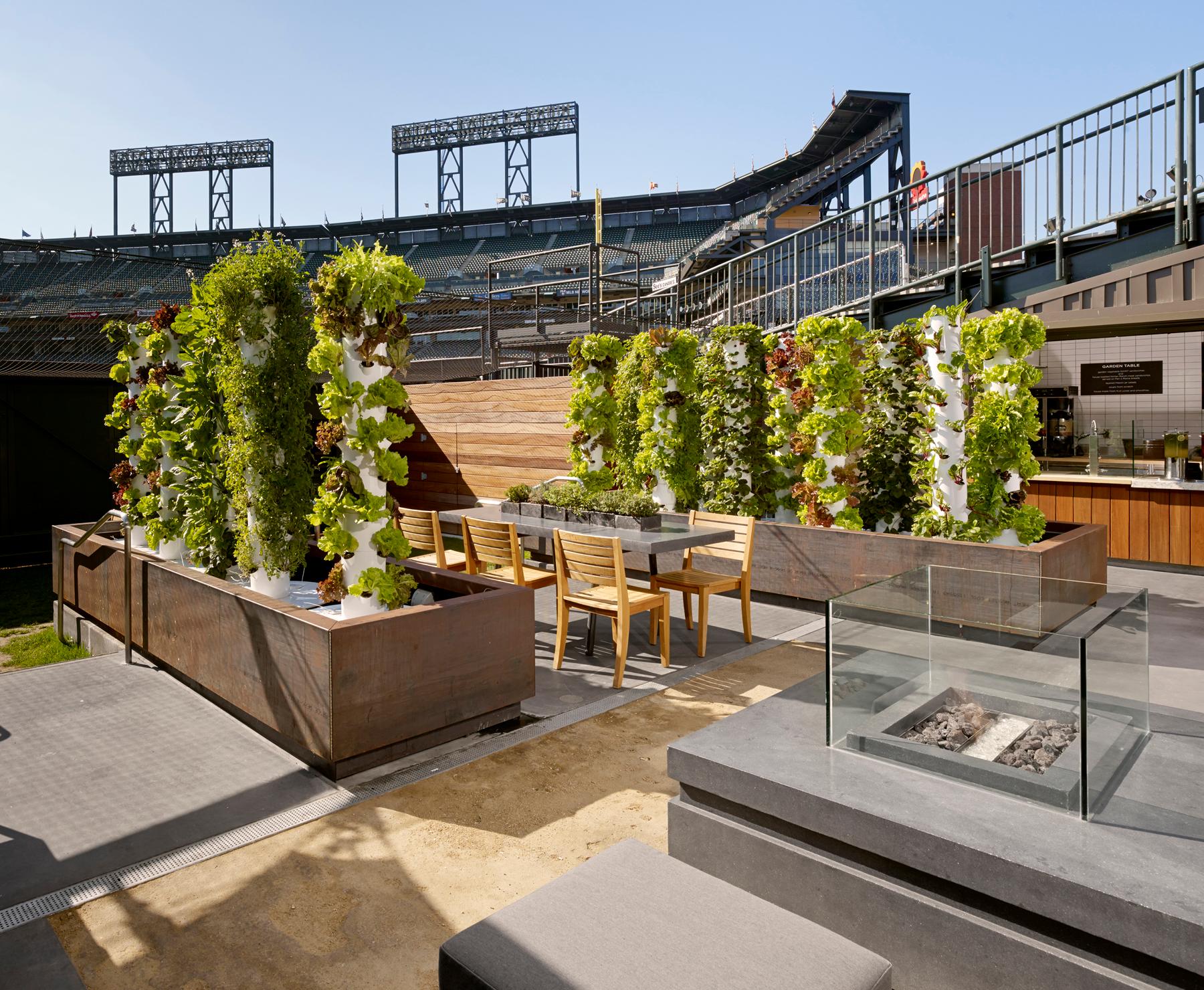 Edible Garden