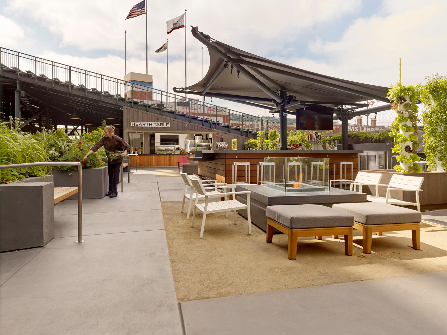 Edible Garden - image 5