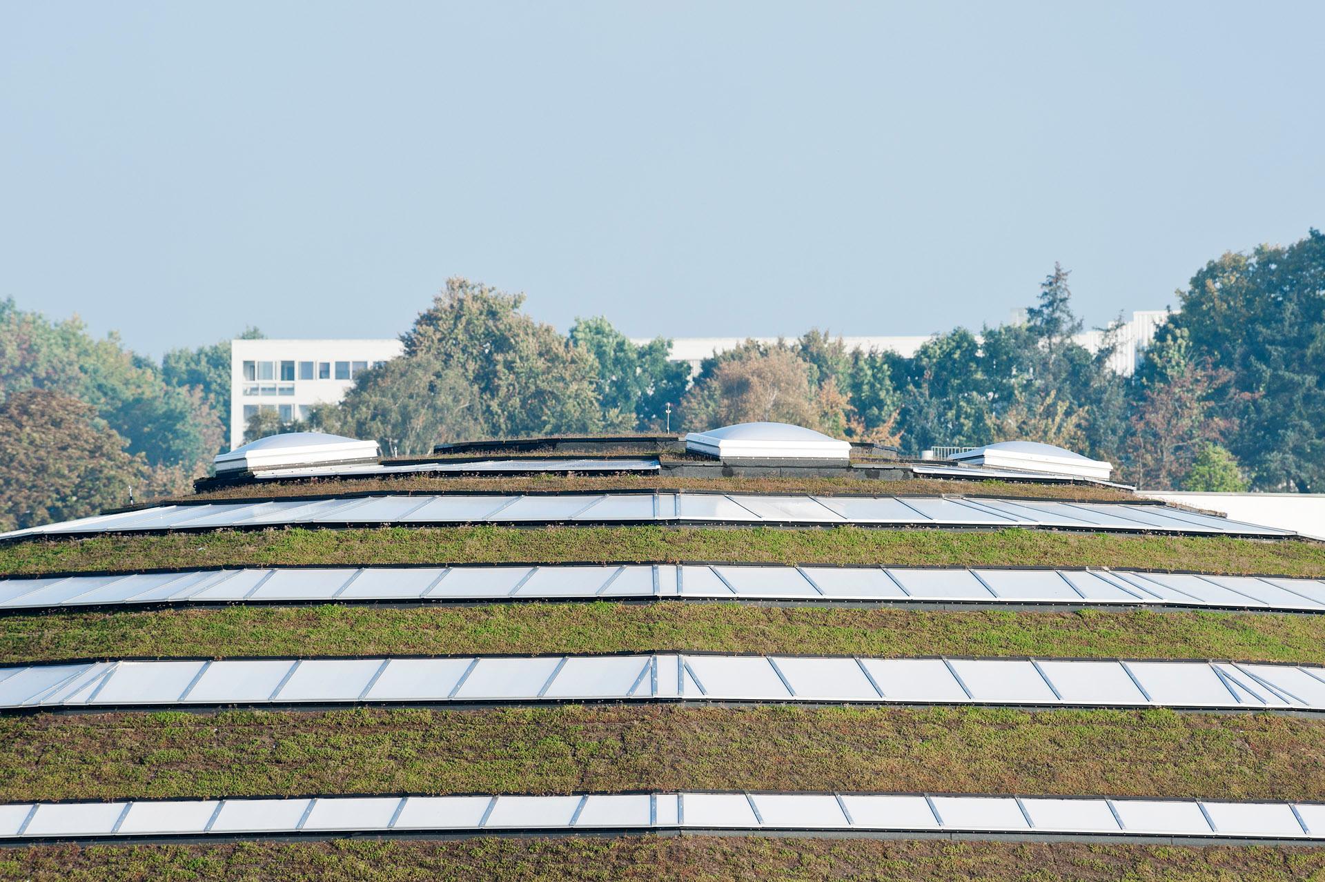 StreetDome - image 4