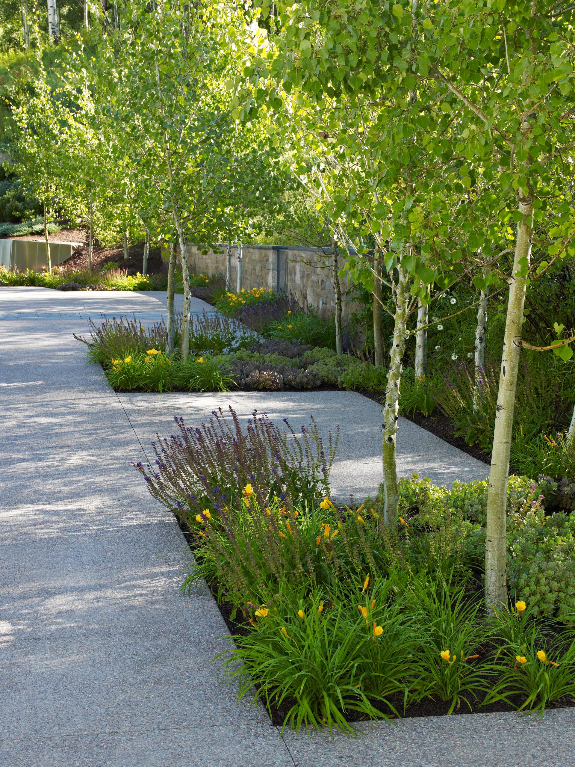 Lines on Castle Creek - image 2