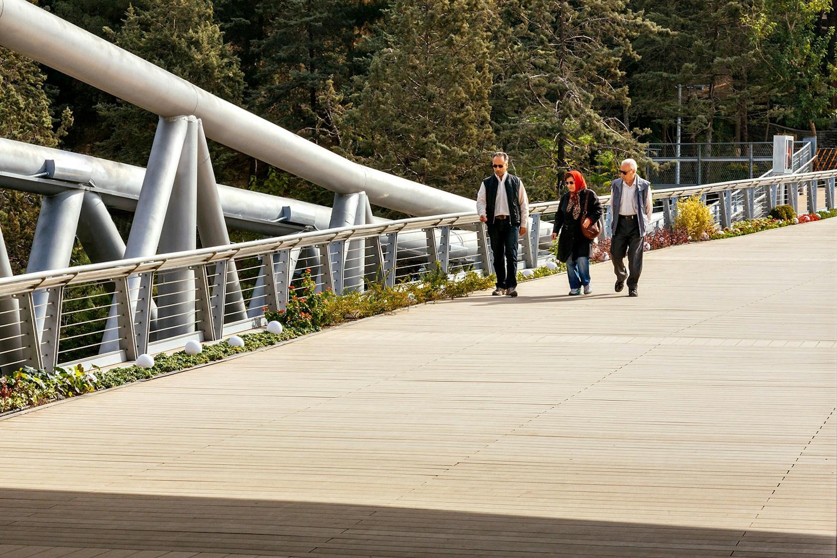 Tabiat Pedestrian bridge - image 5