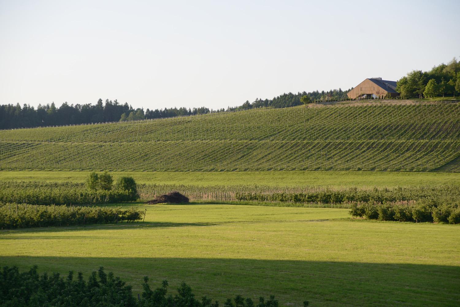 Weingut Schmidt am Bodensee | Windery - image 12