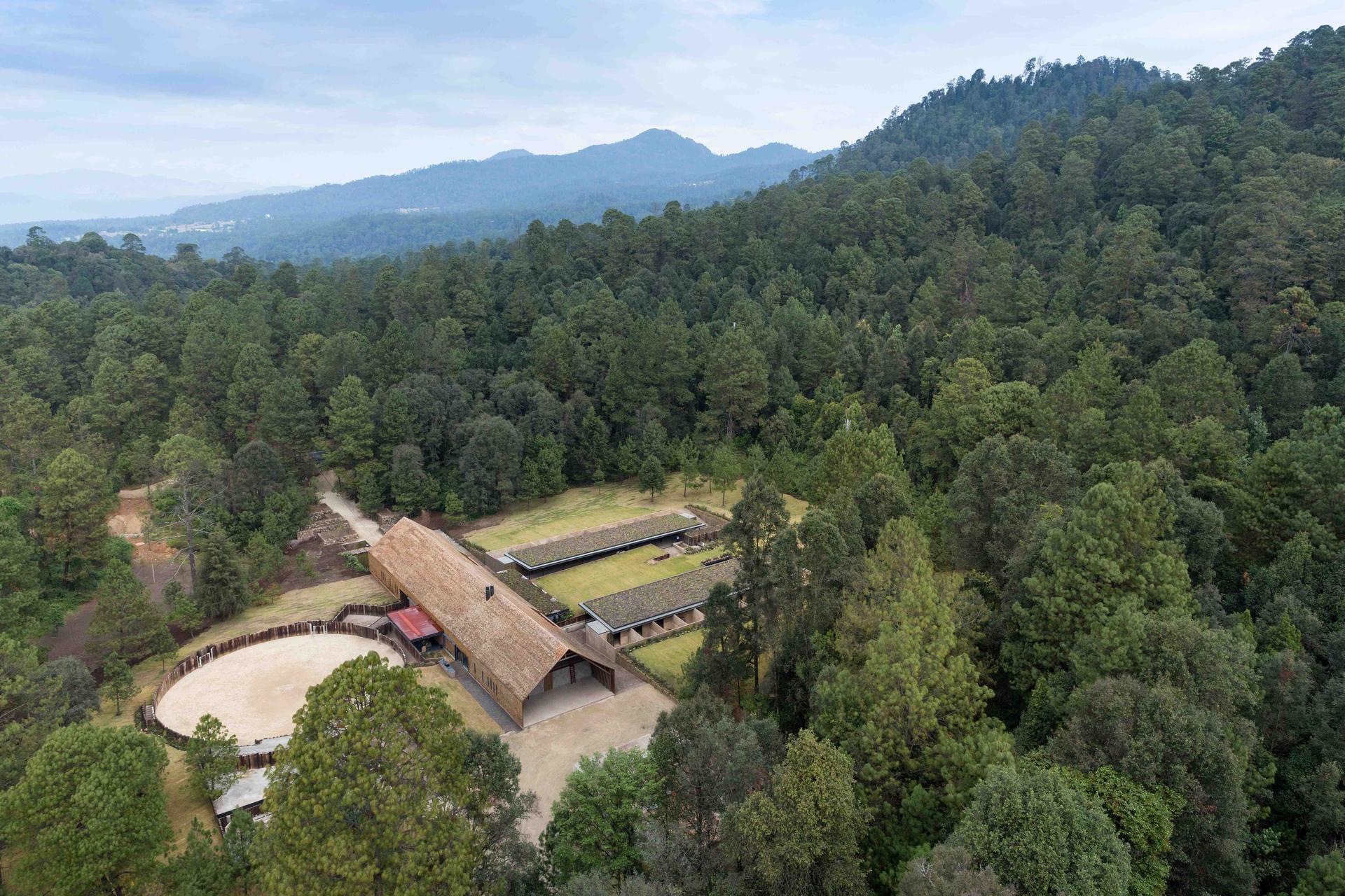 Equestrian Project