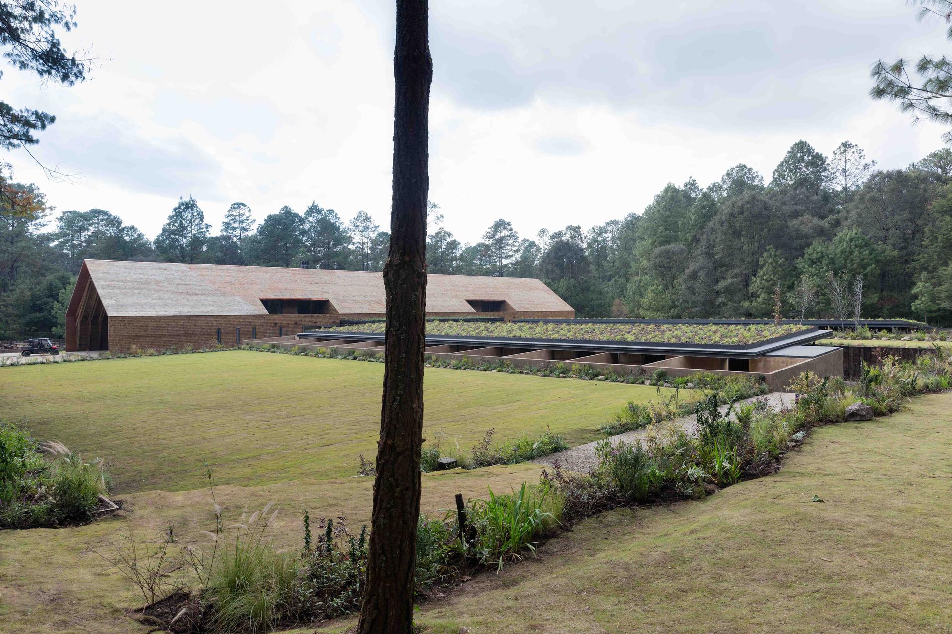 Equestrian Project - image 2