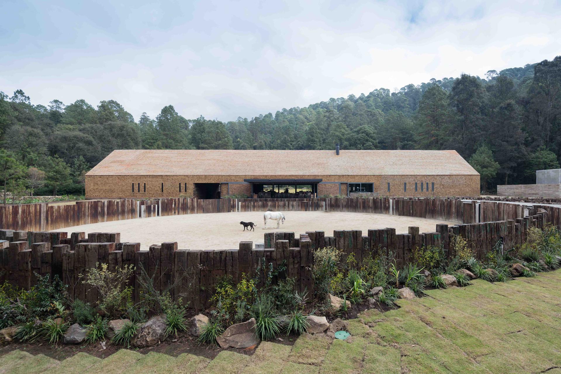 Equestrian Project - image 9
