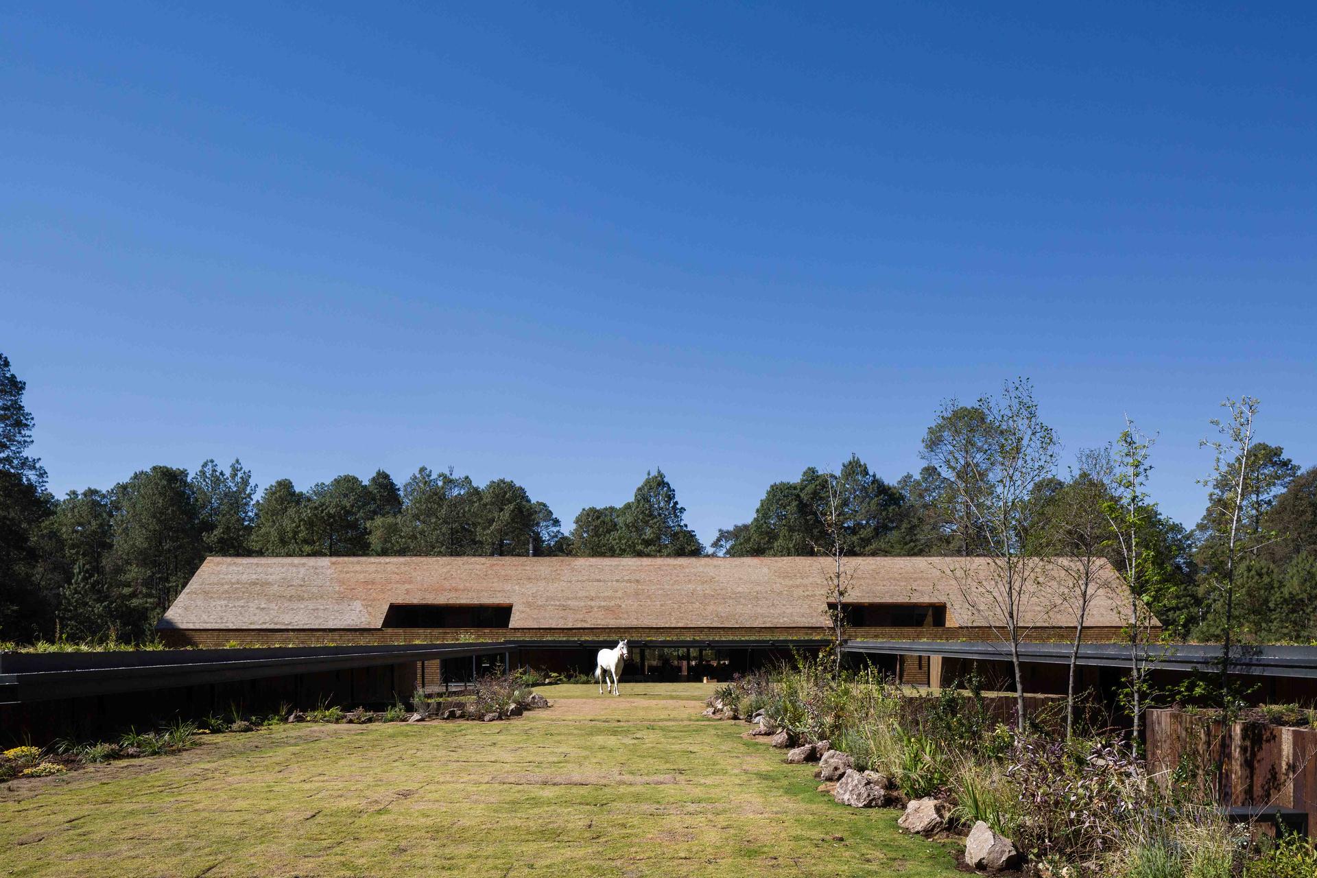 Equestrian Project - image 4