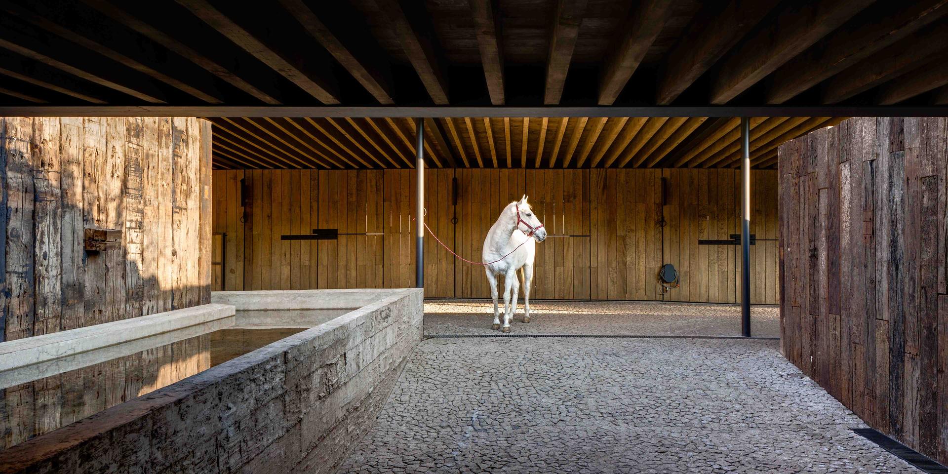 Equestrian Project - image 6