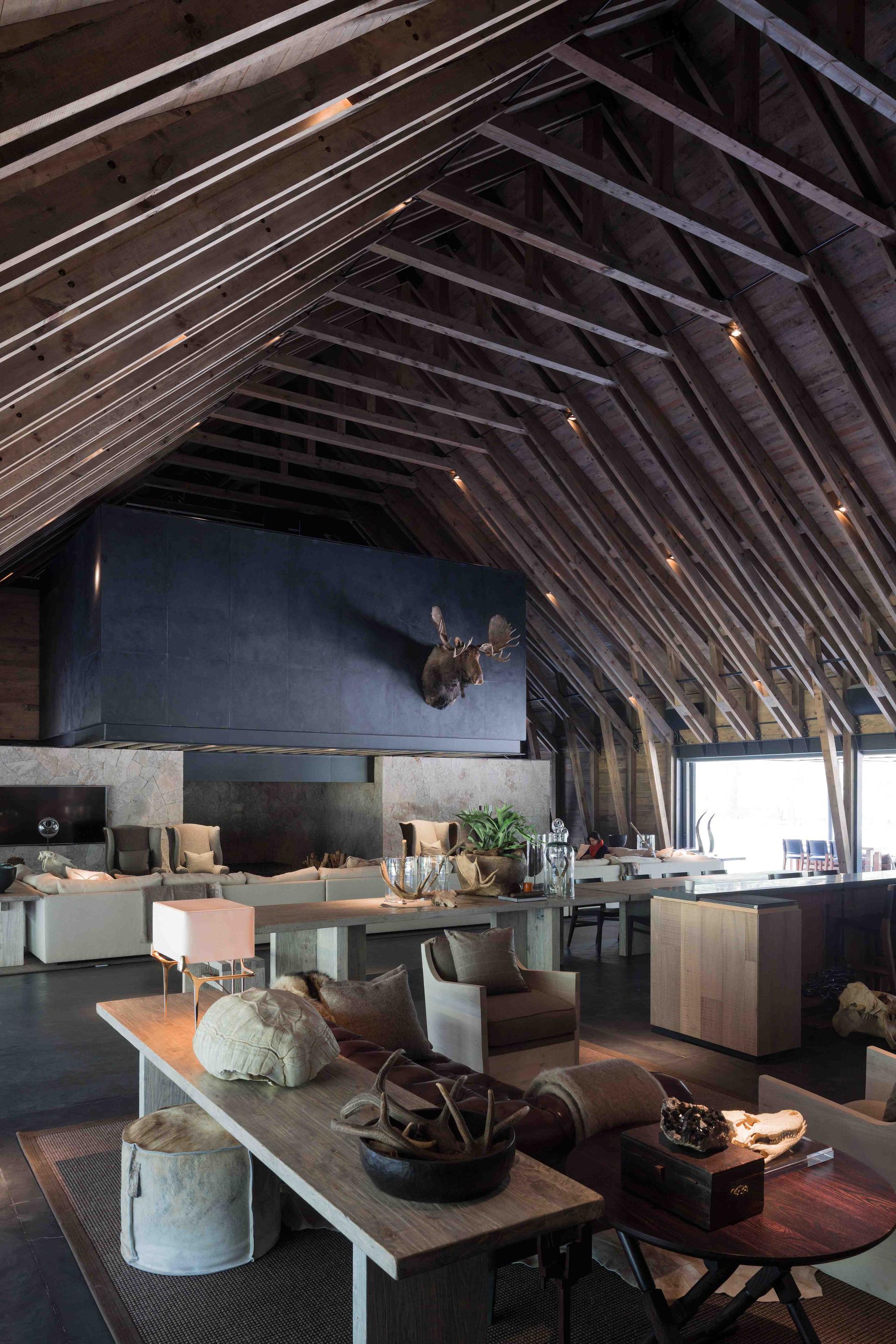 Equestrian Project - image 5