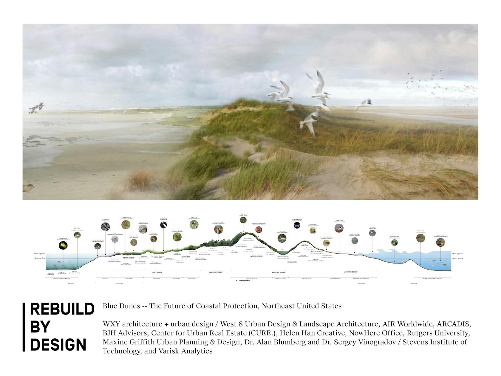 Rebuild by Design - image 4