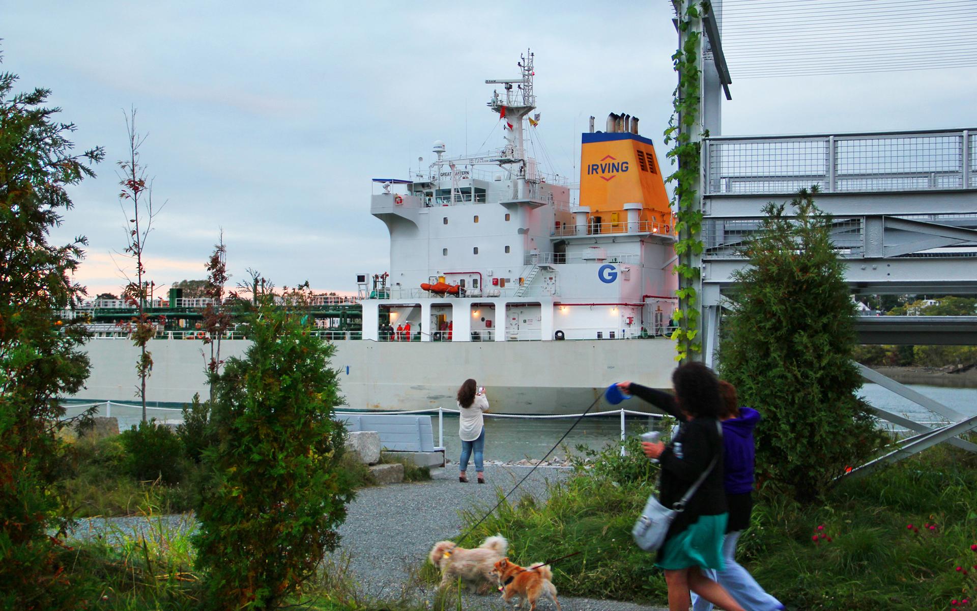 the PORT - image 10