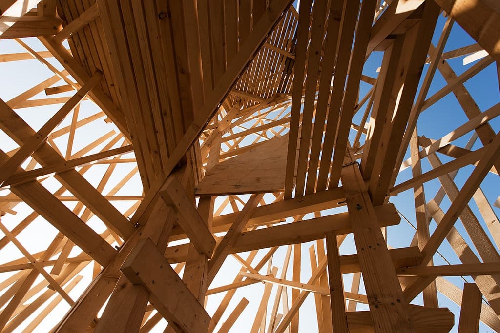 Hello Wood International Architecture Camp - image 8