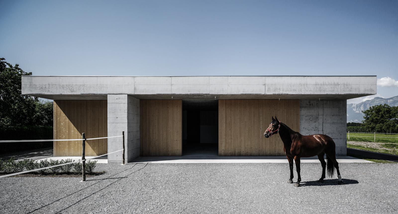 Griss Equine Veterinary Practice + doctor´s apartment - image 2