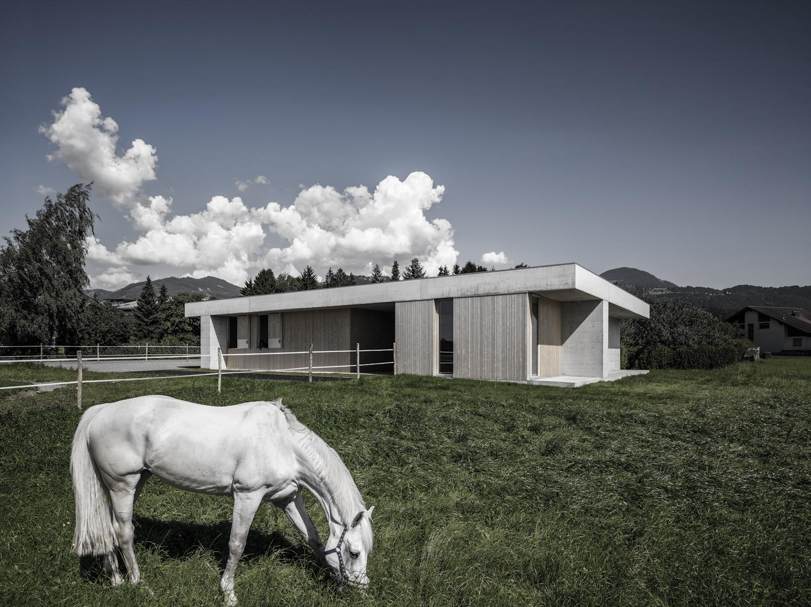 Griss Equine Veterinary Practice + doctor´s apartment - image 5