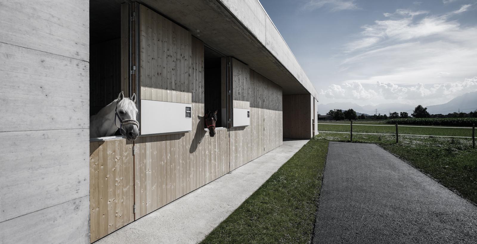 Griss Equine Veterinary Practice + doctor´s apartment