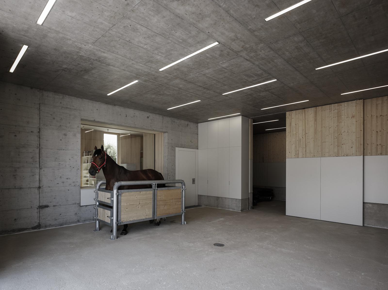 Griss Equine Veterinary Practice + doctor´s apartment - image 11