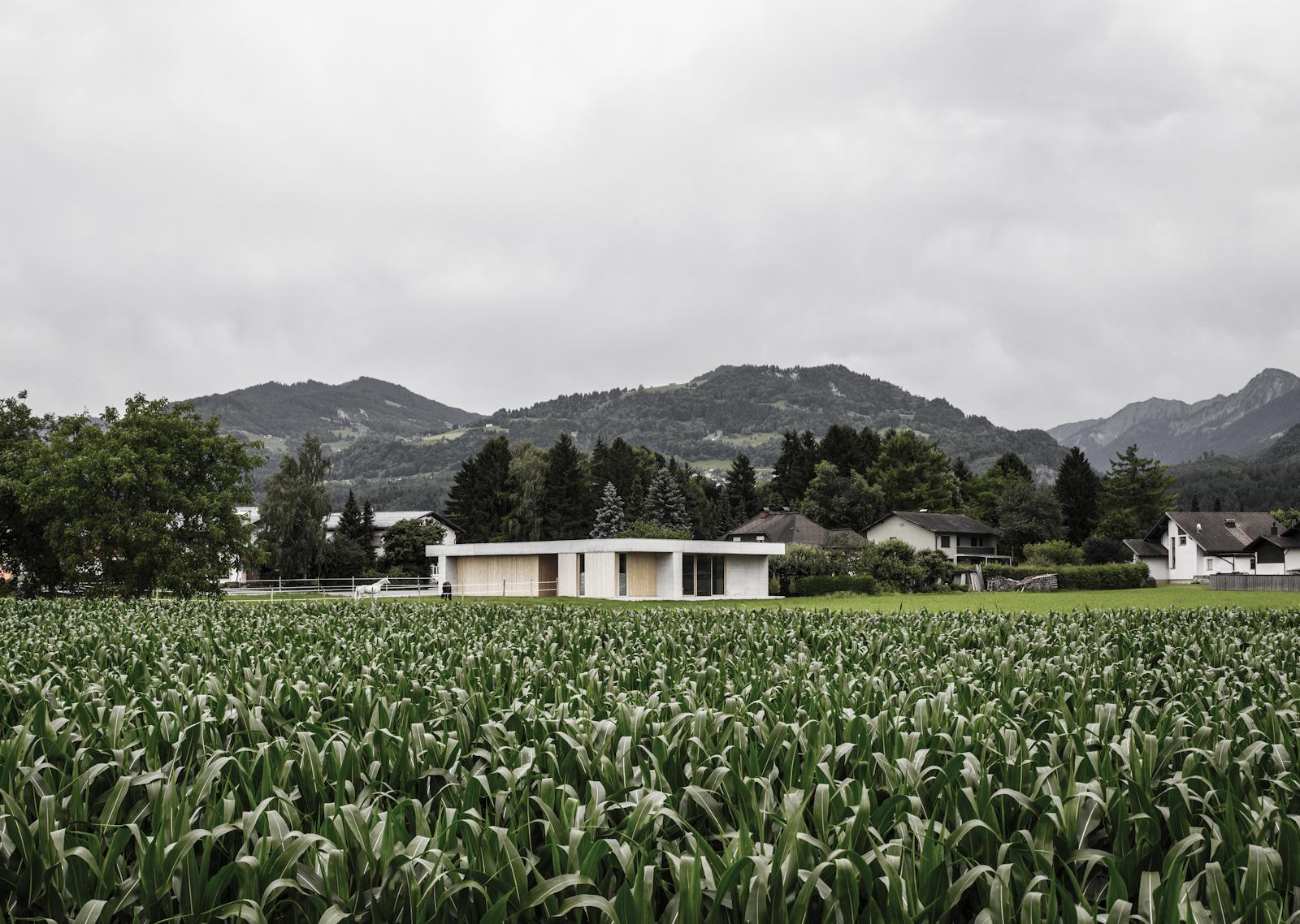 Griss Equine Veterinary Practice + doctor´s apartment - image 9