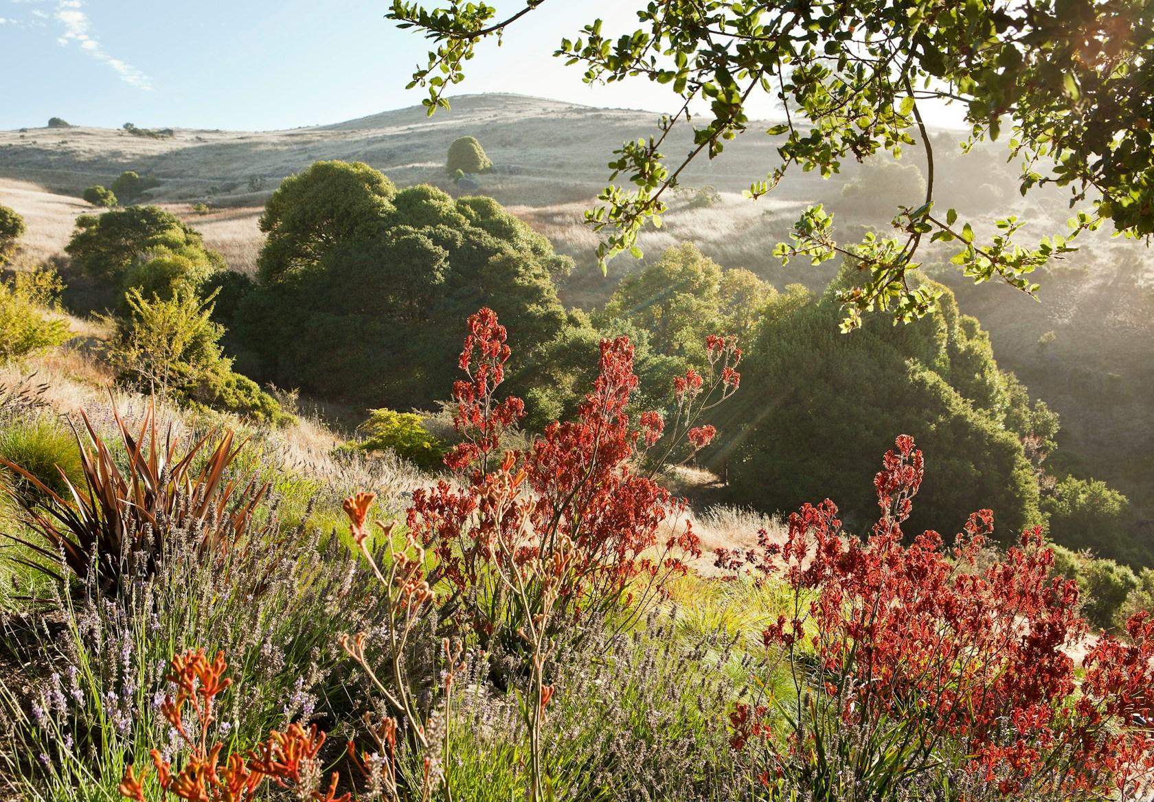 The Painterly Approach - image 3