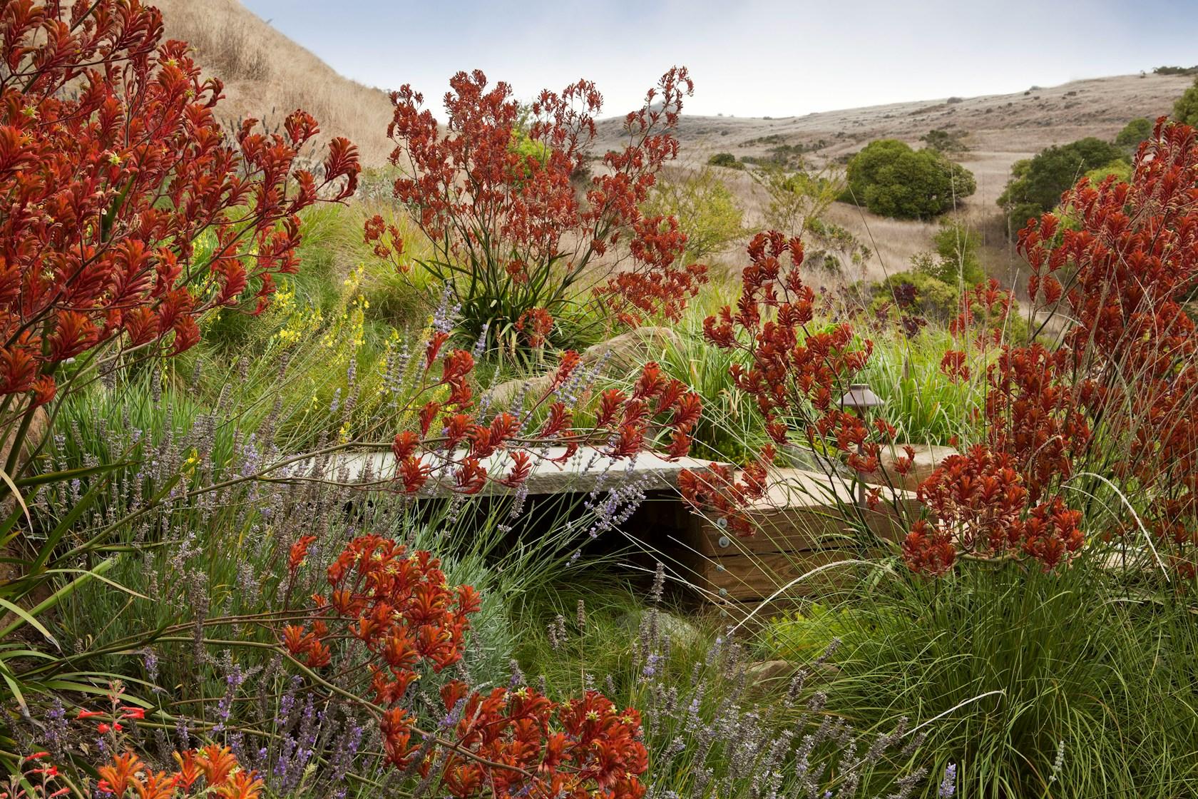 The Painterly Approach - image 10