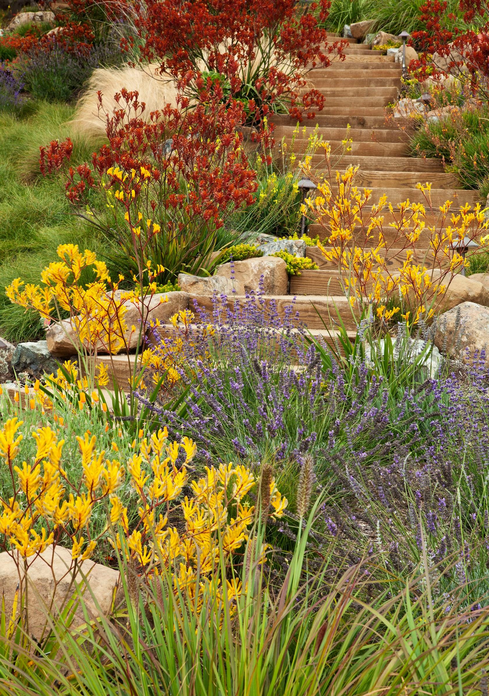 The Painterly Approach - image 9