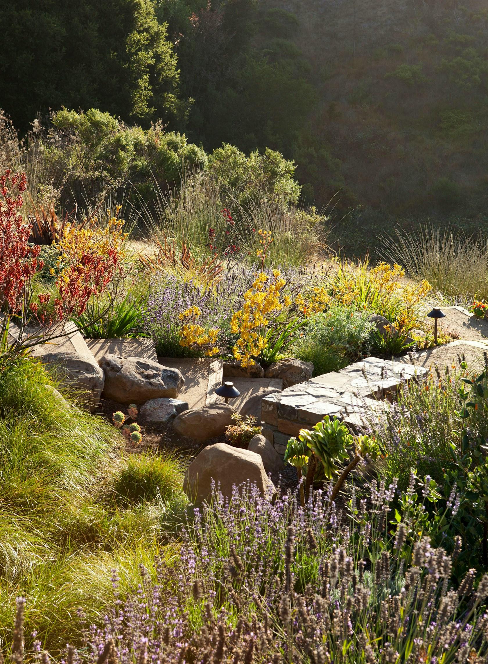 The Painterly Approach - image 7