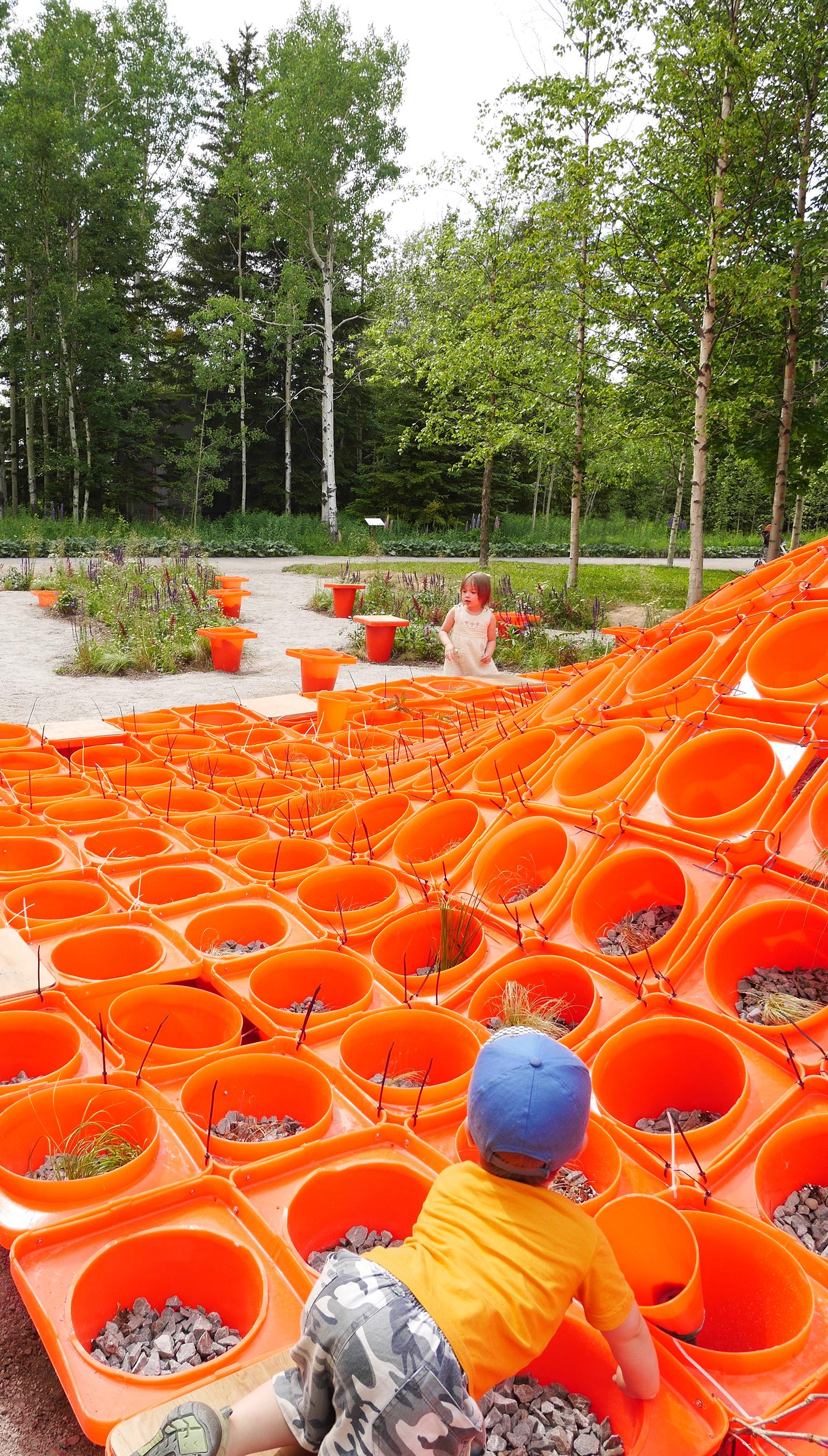 Cone Garden Bocksili - image 3