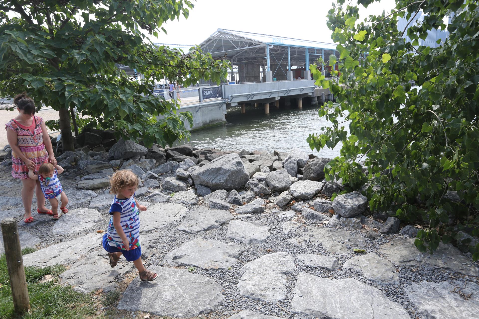 Pier Two Athletic Center, Brooklyn Bridge Park - image 3