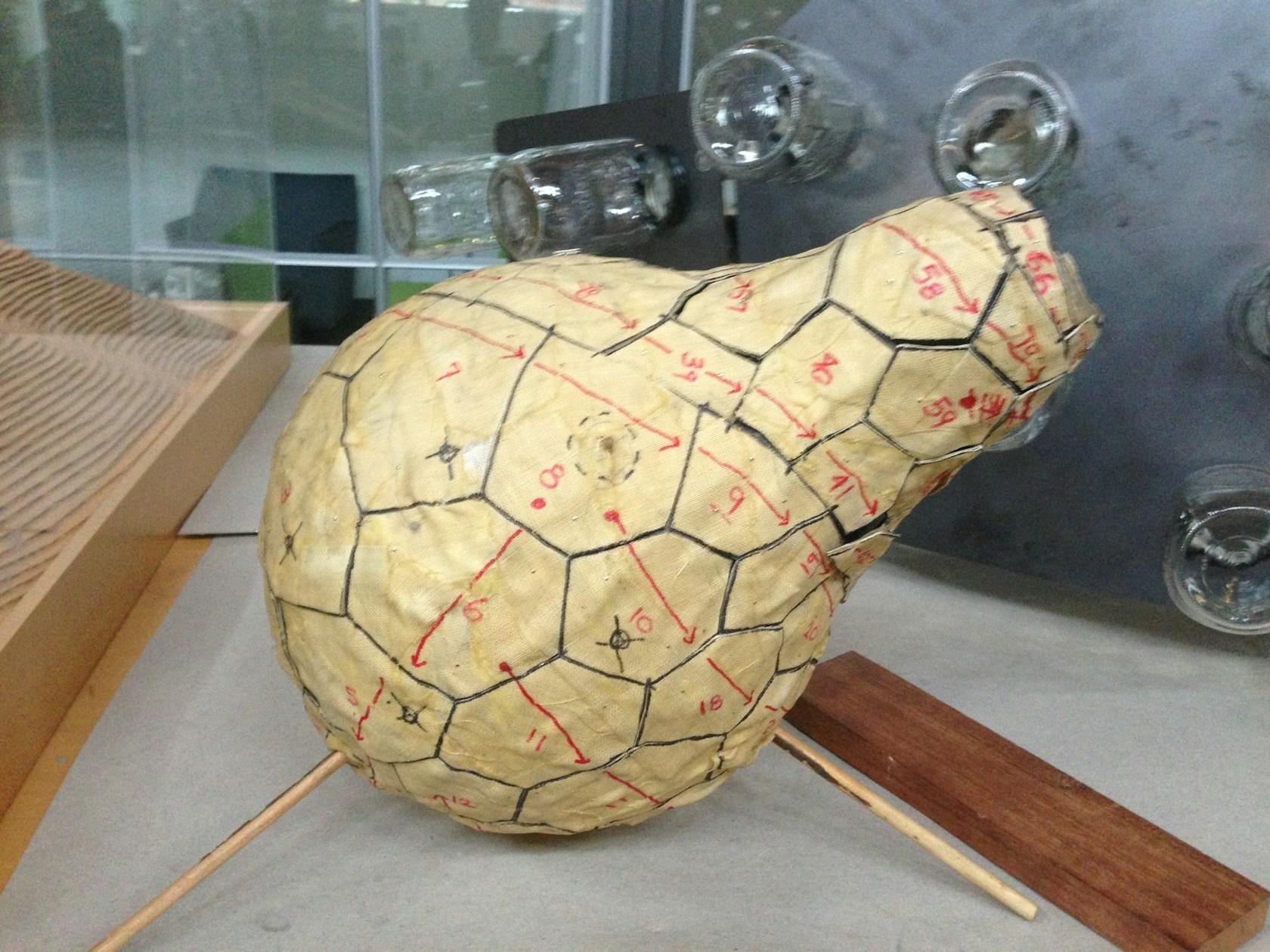 The Gourd - image 5