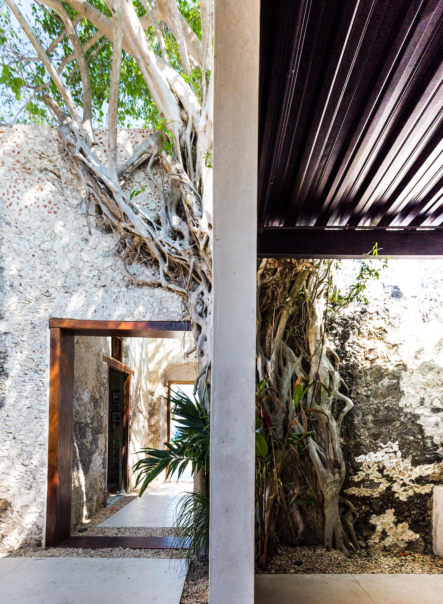 Niop Hacienda - image 11