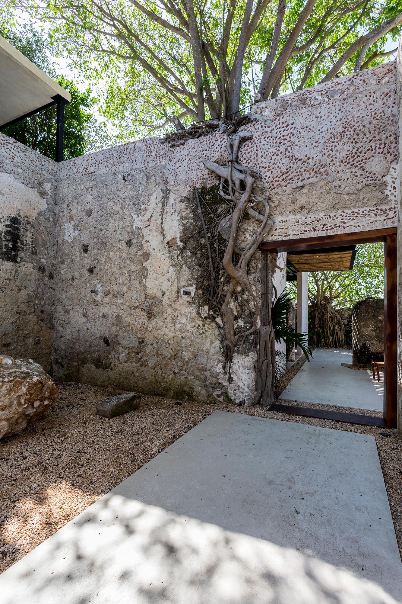 Niop Hacienda - image 13